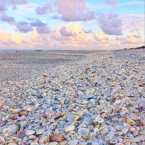 LIVE SHOW UNLISTED ITEM